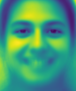 Averaged Smile (Raw)