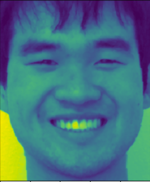 Averaged Smile (Raw)